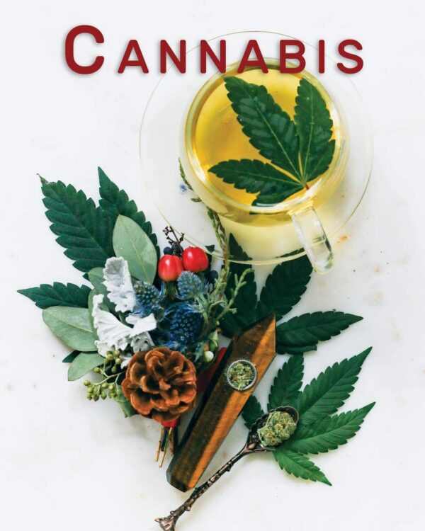 Cannabis: Marijuana Review & Rating Journal / Log Book. Cannabis Accessories & Gift Idea For Medical & Personal Cannabis Tasting | Paper Blank Notebook Less Stress More Fun